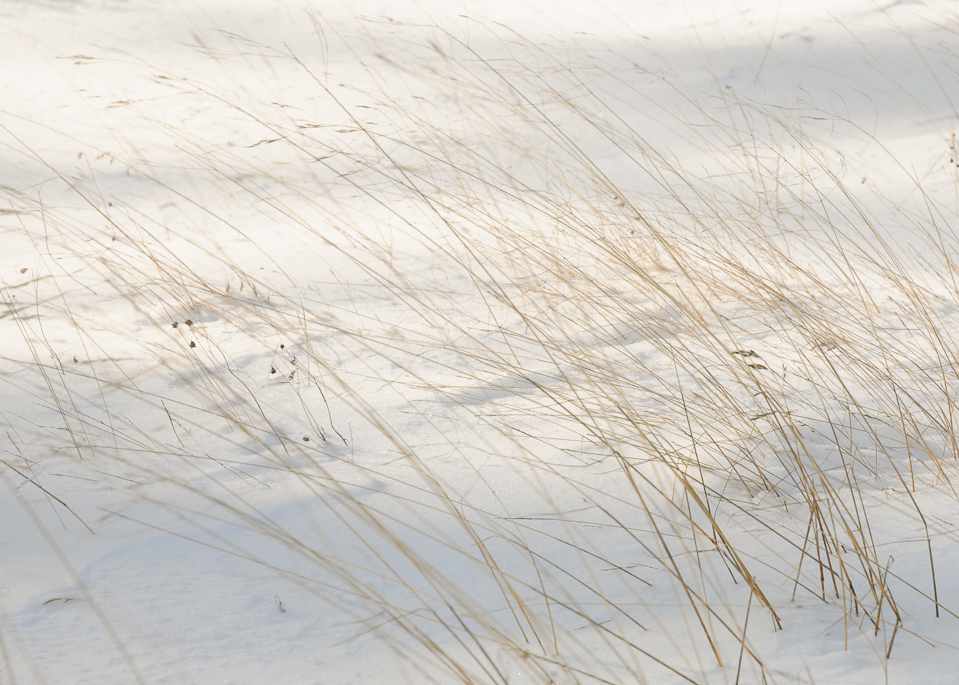 Photographer Danne Eriksson