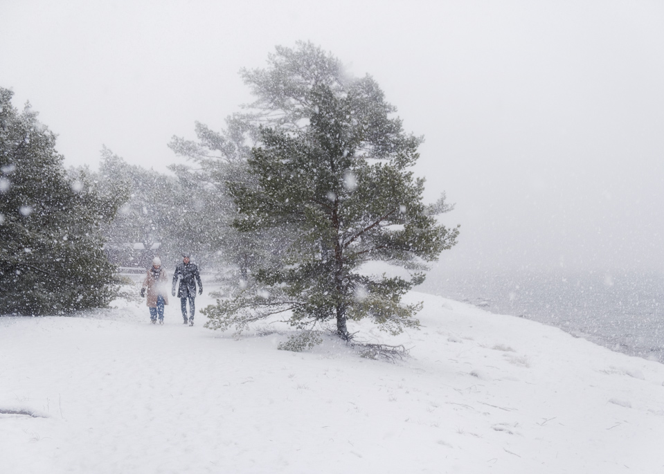 Walking, snow, sweden, sandhamn,