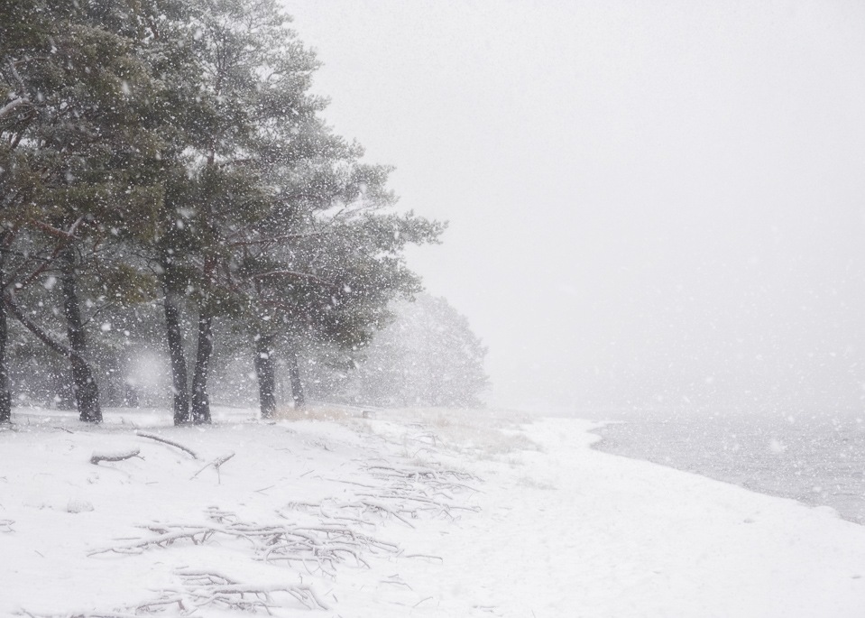 Sandhamn snow
